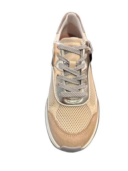 ZAPATILLAGEOX D ZARVIA BEIGE