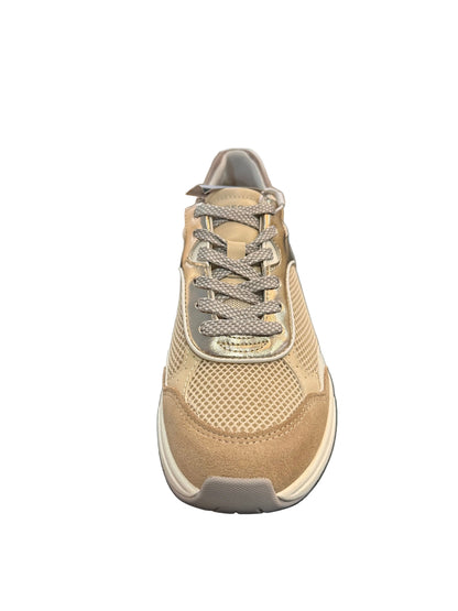 ZAPATILLAGEOX D ZARVIA BEIGE